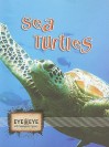 Sea Turtles - Cindy Rodriguez