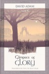 Glimpses of Glory: Prayers for the Church Year: Year C - David Adam