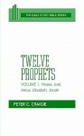 Twelve Prophets, Volume 1 (The Daily Study Bible Series) - Peter C. Craigie