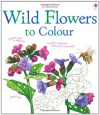 Wild Flowers to Colour - Susan Meredith