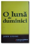 O lună de duminici - John Updike