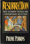 Resurrection: New Testament Witness And Contemporary Reflection - Pheme Perkins