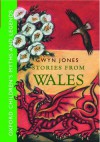 Stories From Wales: Oxford Children's Myths and Legends - Gwyn Jones