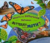 What's the Difference Between a Butterfly and a Moth? - Robin Koontz, Debra Bandelin
