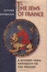 The Jews of France: A History from Antiquity to the Present - Esther Benbassa