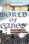 A World of Gangs: Armed Young Men and Gangsta Culture - John M. Hagedorn