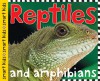 Smart Kids Reptiles - Roger Priddy