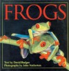 Frogs - David Badger, John Netherton