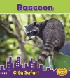 Raccoon - Isabel Thomas