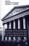 Bank Strategies and Challenges in New Europe - Edward M. P. Gardener