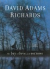 The Bay of Love and Sorrows - David Adams Richards