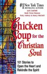 Chicken Soup For The Christian Soul (Chicken Soup For The Soul) - Jack Canfield, Mark Victor Hansen, Patty Aubery