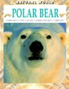 Polar Bear - Malcolm Penny