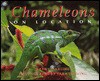 Chameleons: On Location - Kathy Darling, Tara Darling