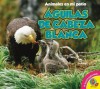 Aguilas de Cabeza Blanca : Bald Eagles - Pamela McDowell