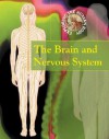 The Brain and Nervous System - Carol Ballard