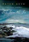 Safe from the Sea - Peter Geye