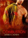 Combustion - Denise A. Agnew