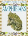 Amphibians - Beatrice Macleod