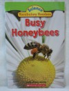 Busy Honeybees (Scholastic Science Vocabulary Readers) - Justin Martin