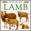 Lamb - Gordon Clayton