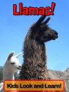 Llamas! Learn About Llamas and Enjoy Colorful Pictures - Look and Learn! (50+ Photos of Llamas) - Becky Wolff