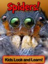 Spiders! Learn About Spiders and Enjoy Colorful Pictures - Look and Learn! (50+ Photos of Spiders) - Becky Wolff