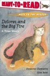 Dolores and the Big Fire: Dolores and the Big Fire - Andrew Clements, Ellen Beier