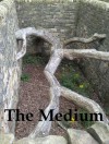 The Medium - Andrew Wilson