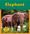 Elephant (Zoo Animals) - Patricia Whitehouse