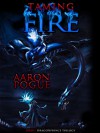 Taming Fire - Aaron Pogue