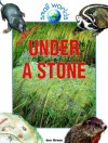 Under a Stone - Jen Green