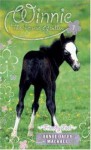 Friendly Foal - Dandi Daley Mackall