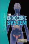 The Endocrine System - Kara Rogers