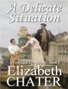 A Delicate Situation - Elizabeth Chater