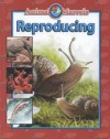 Reproducing - Gareth Stevens Publishing