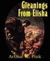 Gleanings from Elisha, His Life and Miracles - Arthur W. Pink