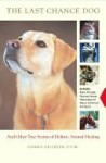 The Last Chance Dog: and Other True Stories of Holistic Animal Healing - Donna Kelleher