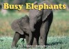 Busy Elephants - John Schindel, Martin Harvey