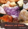 Minerals and Rocks - Nancy Kelly Allen
