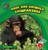 Chimpanzees - Katie Marsico