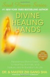 Divine Healing Hands: Experience Divine Power to Heal You, Animals, and Nature, and to Transform All Life - Zhi Gang Sha