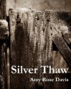 Silver Thaw - Amy Rose Davis