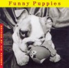 Funny Puppies (Welcome Books (Steward Tabori & Chang)) - Jean-Claude Suarès