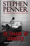 By Reason of Insanity: David Brunelle Legal Thriller #3 - Stephen Penner