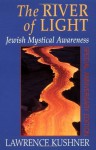 The River of Light: Jewish Mystical Awareness - Lawrence Kushner