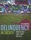 Delinquency In Society: The Essentials - Robert M. Regoli, John D. Hewitt, Matt DeLisi