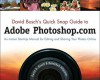 David Busch's Quick Snap Guide to Adobe Photoshop.com - David D. Busch