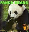 Panda Bears - Diana Star Helmer