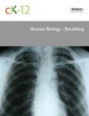 Human Biology - Breathing - CK-12 Foundation